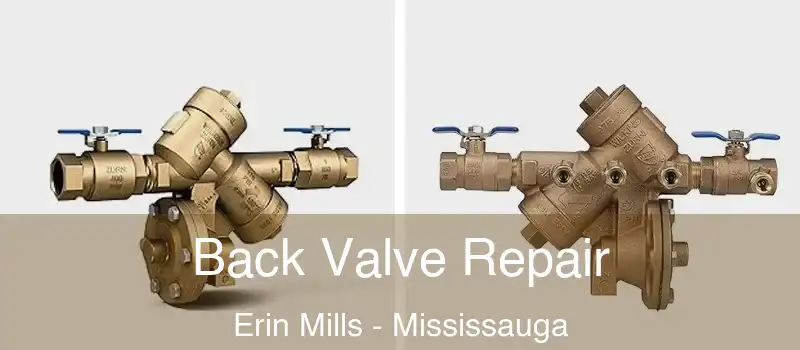  Back Valve Repair Erin Mills - Mississauga