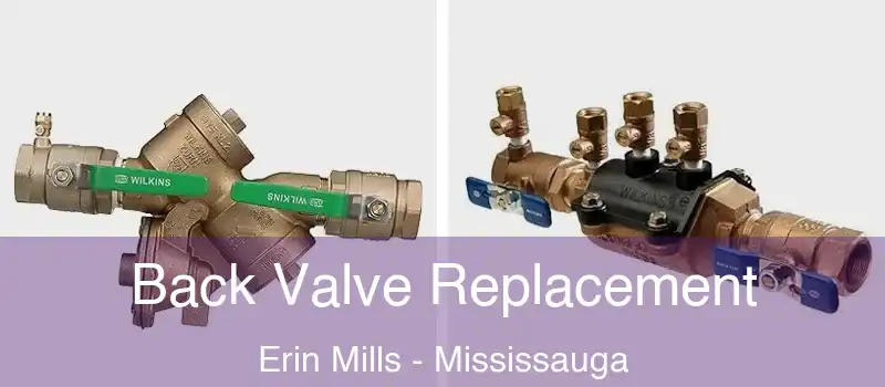  Back Valve Replacement Erin Mills - Mississauga