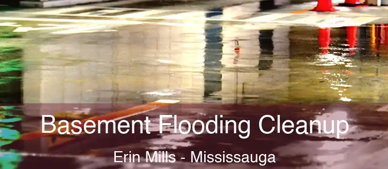  Basement Flooding Cleanup Erin Mills - Mississauga