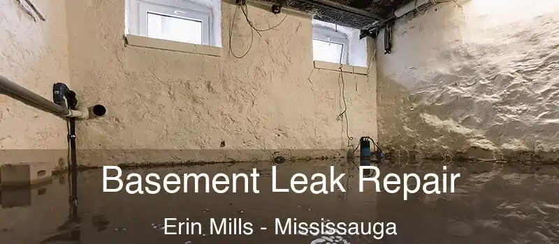  Basement Leak Repair Erin Mills - Mississauga