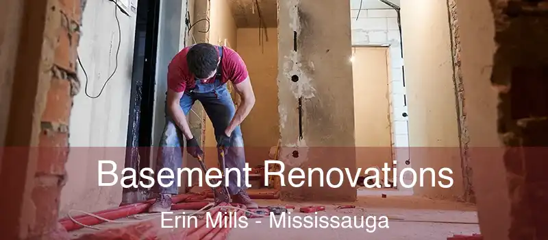  Basement Renovations Erin Mills - Mississauga