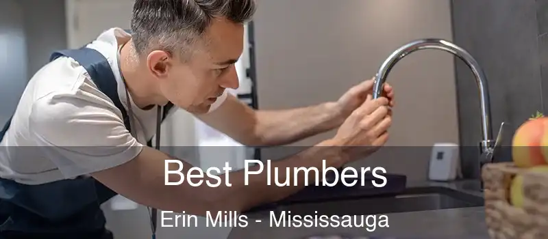  Best Plumbers Erin Mills - Mississauga