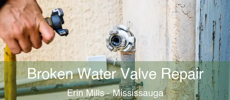  Broken Water Valve Repair Erin Mills - Mississauga
