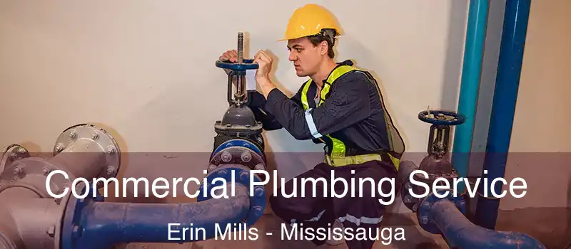  Commercial Plumbing Service Erin Mills - Mississauga