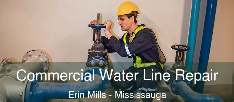  Commercial Water Line Repair Erin Mills - Mississauga