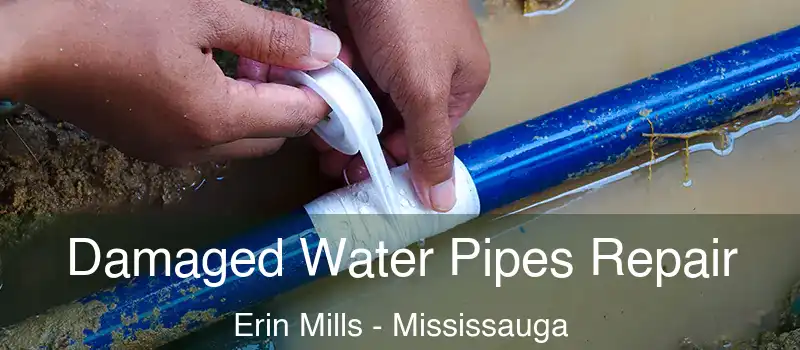  Damaged Water Pipes Repair Erin Mills - Mississauga