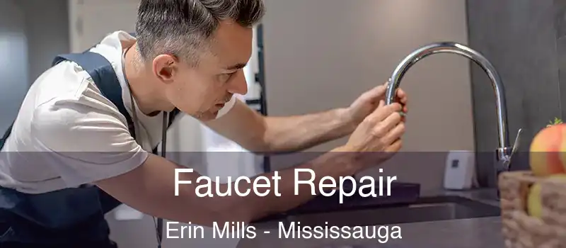  Faucet Repair Erin Mills - Mississauga