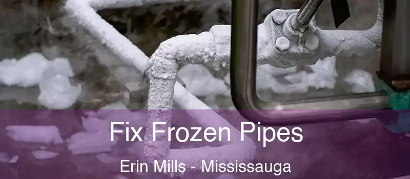 Fix Frozen Pipes Erin Mills - Mississauga