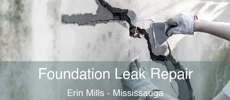  Foundation Leak Repair Erin Mills - Mississauga