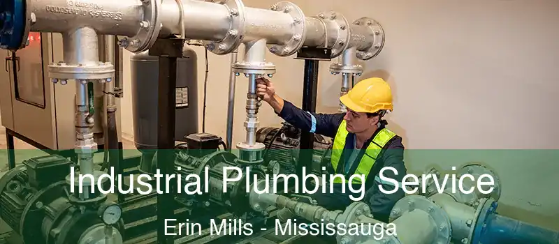  Industrial Plumbing Service Erin Mills - Mississauga