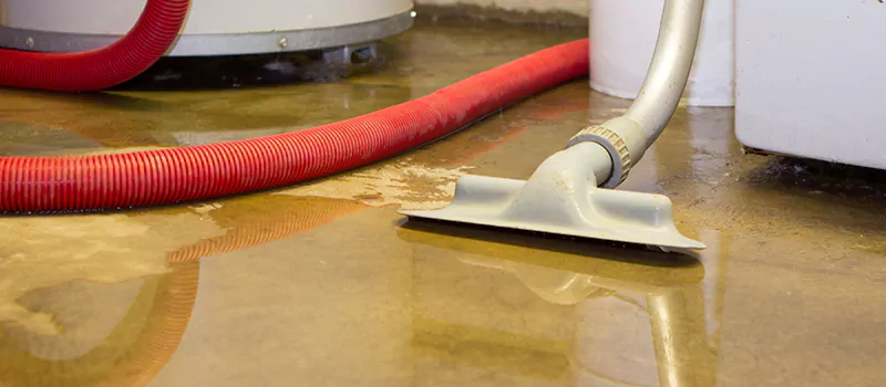 Professional Sewer Backup Cleanup Services in Erin Mills, Mississauga
