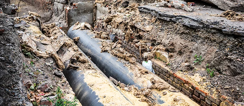 Commercial Sewer Tree Roots Damage Solutions in Erin Mills, Mississauga