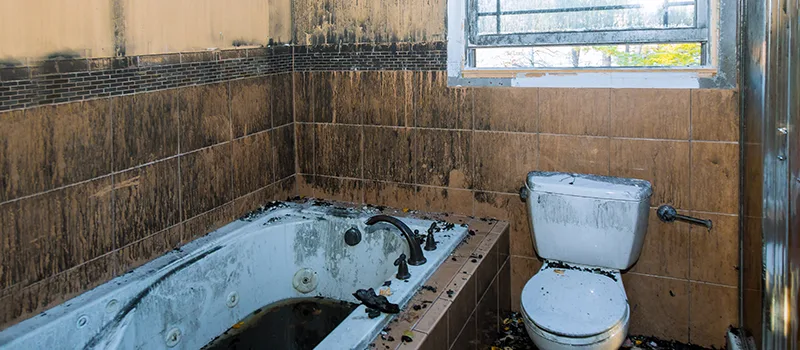 Residential Water Damage Restoration in Erin Mills, Mississauga