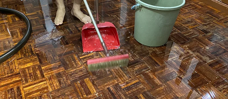 Water Removal And Restoration Services in Erin Mills, Mississauga