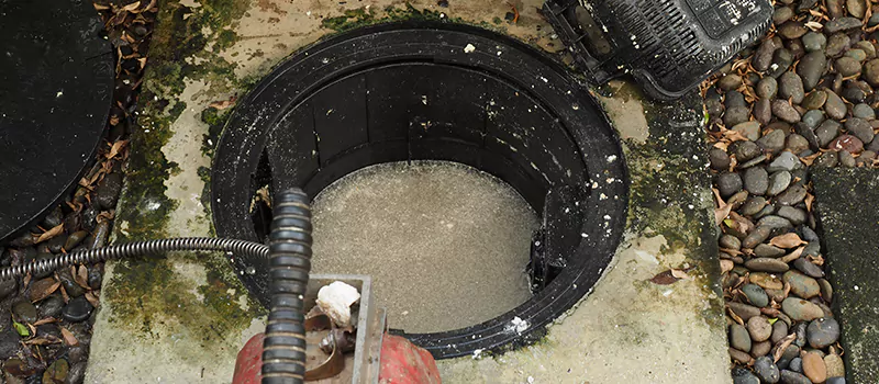 Hydro Jetting For Root Removal in Erin Mills, Mississauga