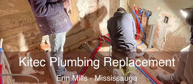  Kitec Plumbing Replacement Erin Mills - Mississauga