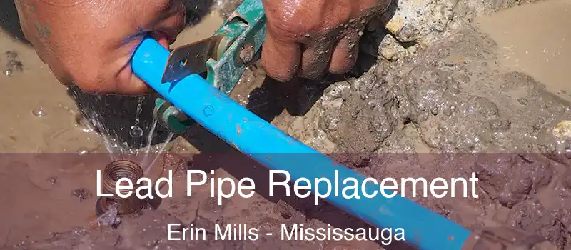  Lead Pipe Replacement Erin Mills - Mississauga