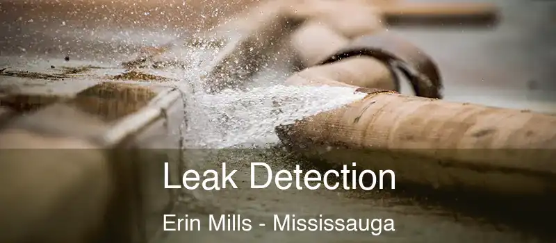  Leak Detection Erin Mills - Mississauga