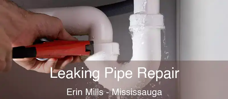  Leaking Pipe Repair Erin Mills - Mississauga