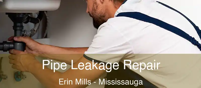  Pipe Leakage Repair Erin Mills - Mississauga