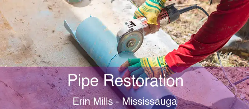  Pipe Restoration Erin Mills - Mississauga