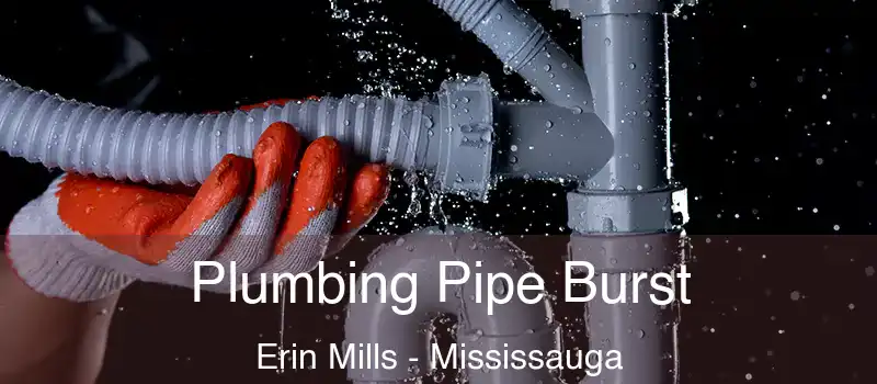  Plumbing Pipe Burst Erin Mills - Mississauga
