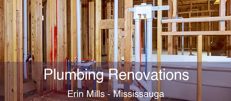  Plumbing Renovations Erin Mills - Mississauga