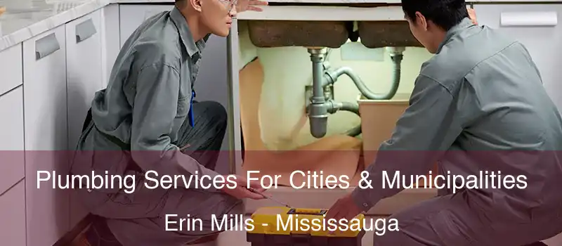  Plumbing Services For Cities & Municipalities Erin Mills - Mississauga