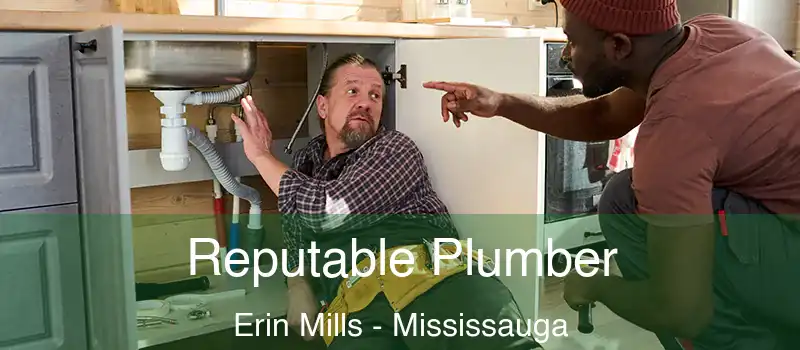 Reputable Plumber Erin Mills - Mississauga
