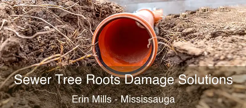  Sewer Tree Roots Damage Solutions Erin Mills - Mississauga
