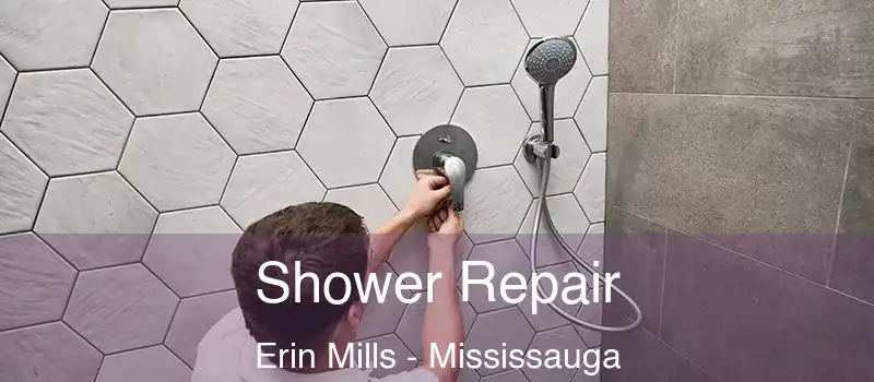  Shower Repair Erin Mills - Mississauga