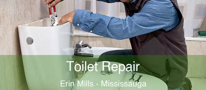  Toilet Repair Erin Mills - Mississauga