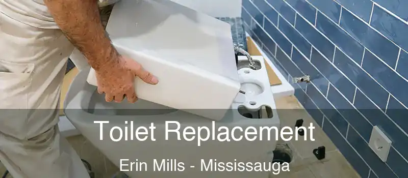  Toilet Replacement Erin Mills - Mississauga
