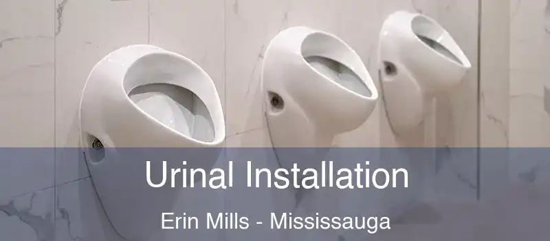  Urinal Installation Erin Mills - Mississauga