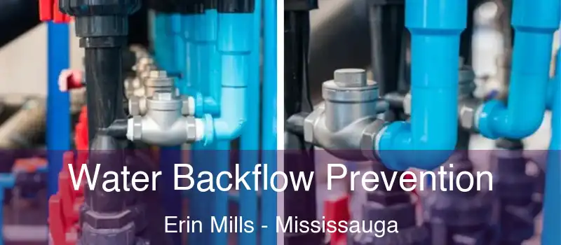  Water Backflow Prevention Erin Mills - Mississauga