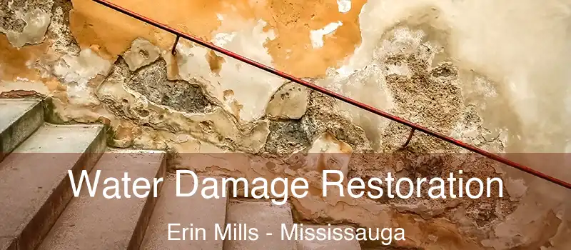  Water Damage Restoration Erin Mills - Mississauga