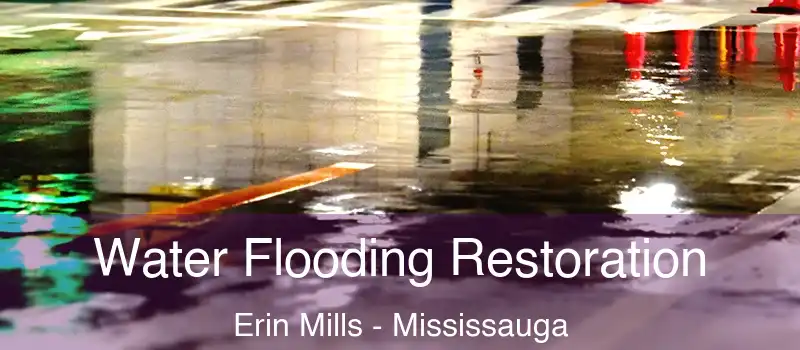  Water Flooding Restoration Erin Mills - Mississauga