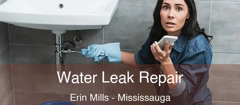  Water Leak Repair Erin Mills - Mississauga